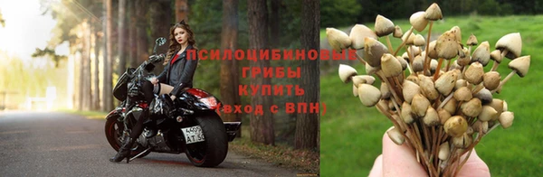 меф Алзамай