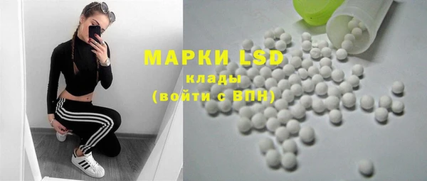стафф Новозыбков