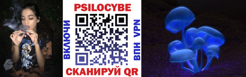 гидра как войти  купить   Петровск-Забайкальский  Псилоцибиновые грибы мухоморы 